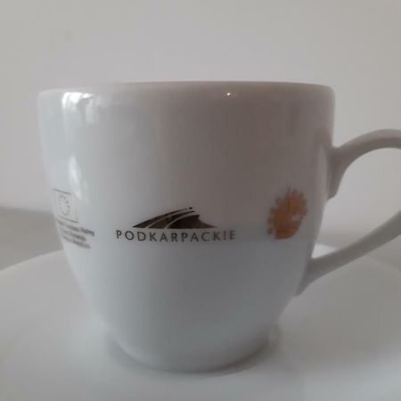 Apartament Beksa Apartment Sanok Luaran gambar